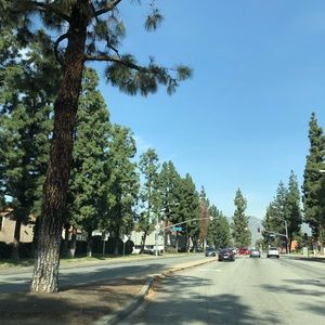 Meet your Posher, Addie